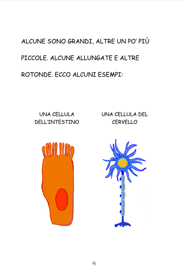 LA CELLULE