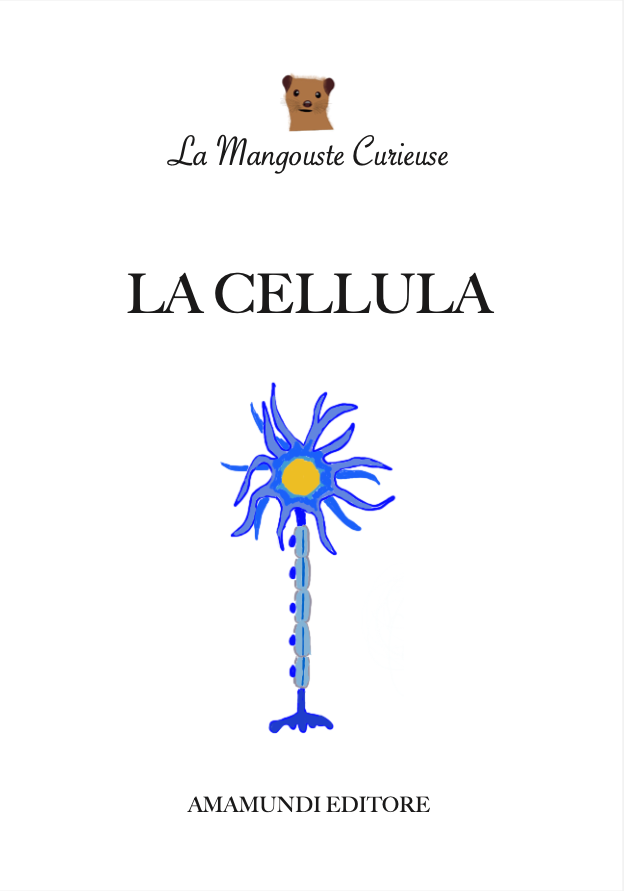 THE CELL