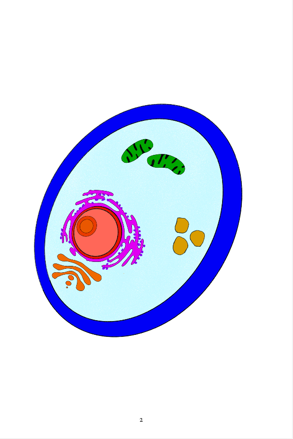 THE CELL