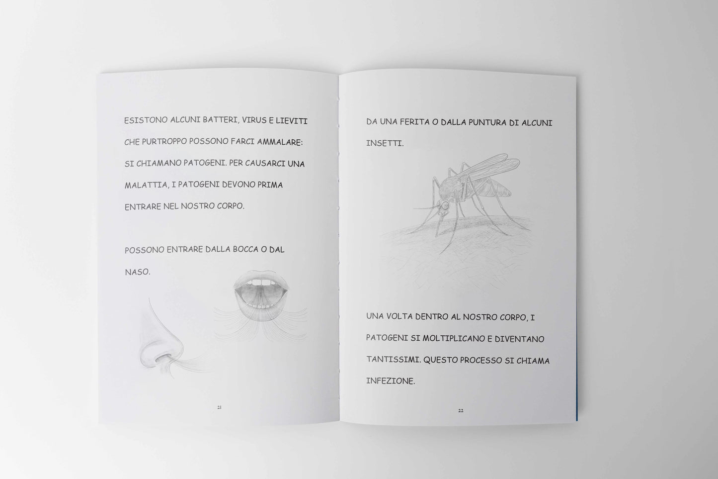 THE MICROORGANISMS