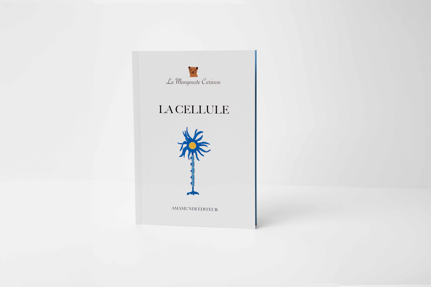 COLLECTION COMPLÈTE – 15 % de réduction