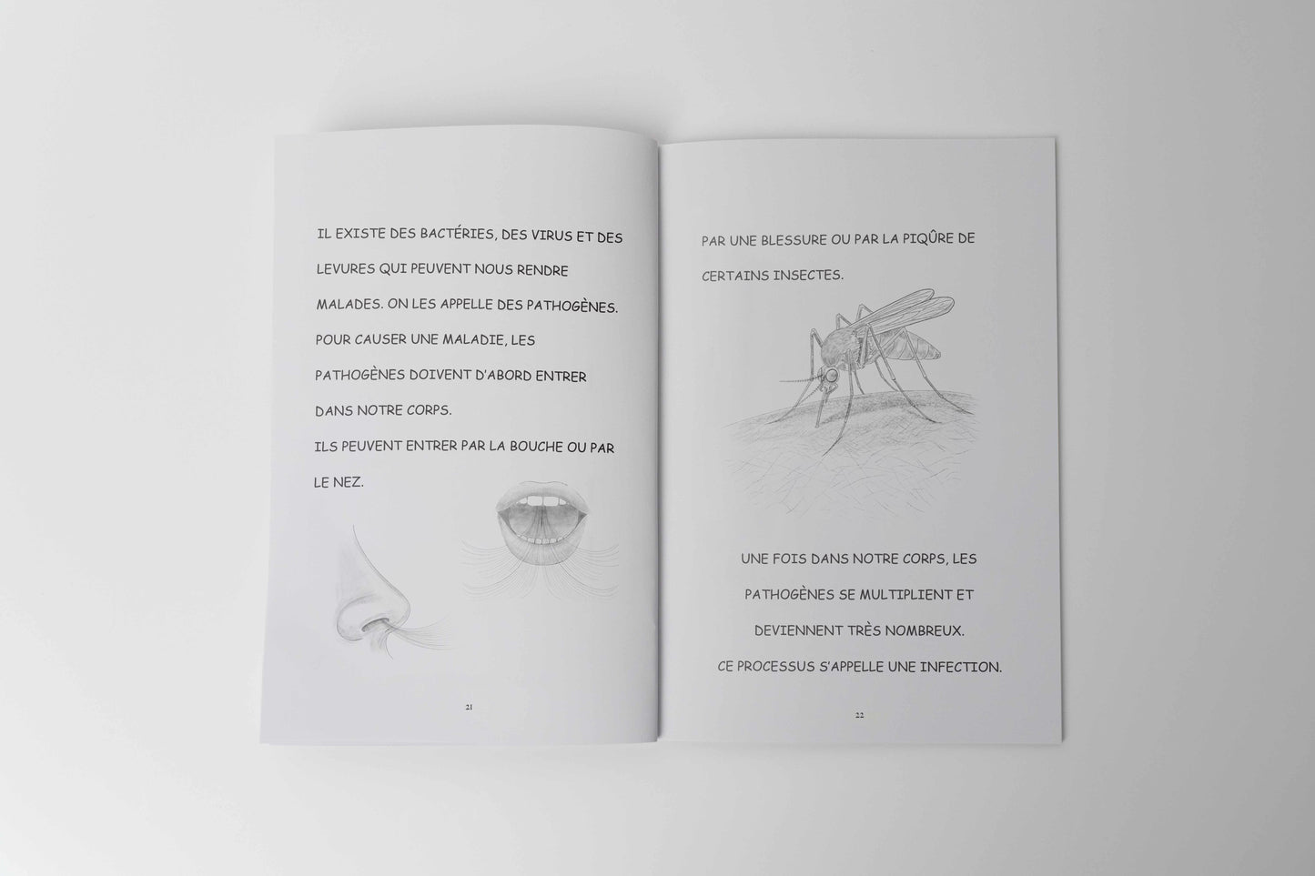 THE MICROORGANISMS