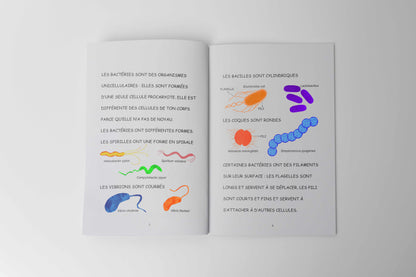 THE MICROORGANISMS